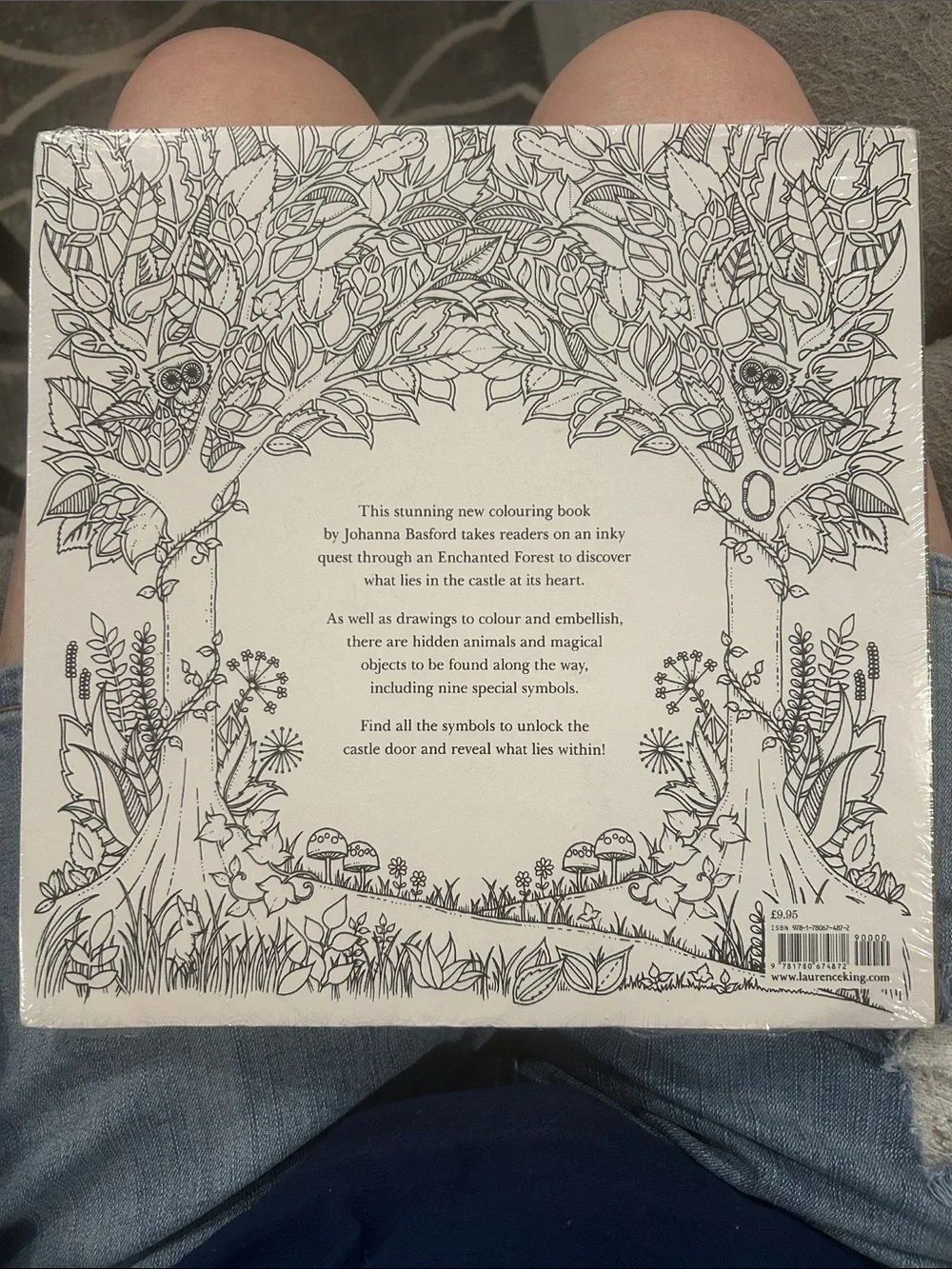 New sealed Johanna Basford Enchanted forest Adult coloring book Inky Quest